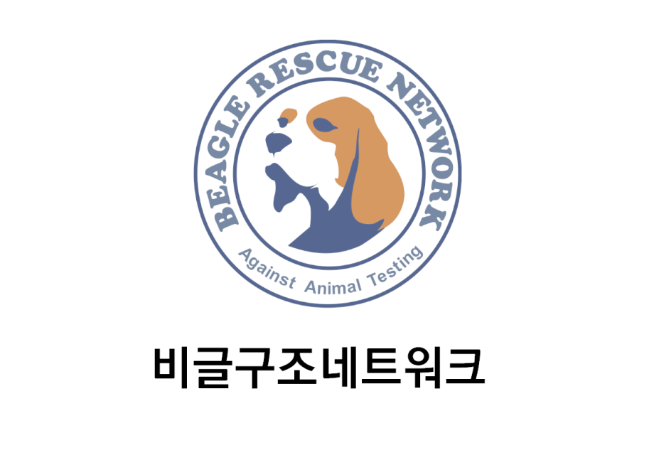 비글구조네트워크