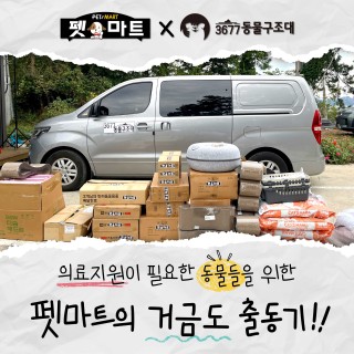 [펫마트 X 3677동물구조대] 의료지원이 필요한 동물들을 위해 거금도 출동기!