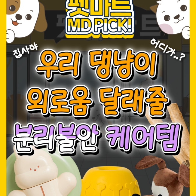우리 댕냥이 외로움 달래줄 불리불안 케어템