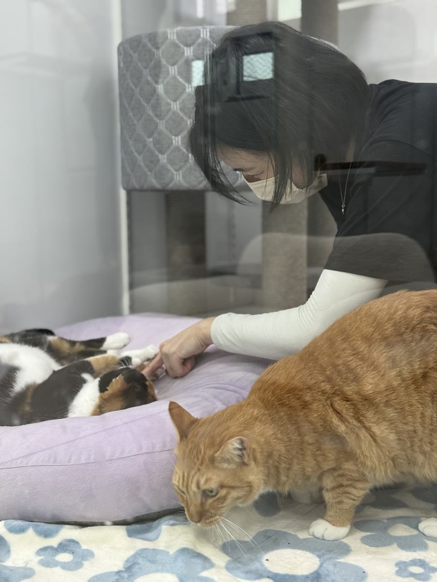 봉사 활동